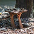 Cu Chi Tunnels Tour – Explore the Underground Tunnels and War History