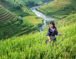 Thank you for wonderful Hanoi & Halong Bay trip