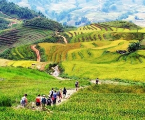 Discovery The Unique Culture Of The Red Dao In Sapa, Vietnam