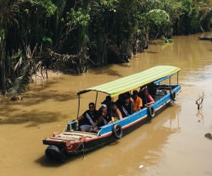 Private Mekong Delta Full Day Tour Review