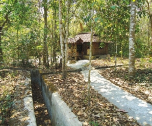 Cu Chi Tunnels Travel Experience – How To Go From Ho Chi Minh City