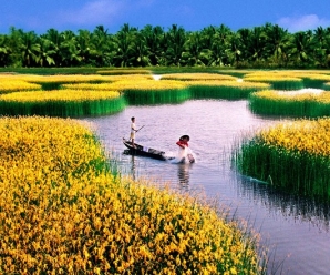 Mekong Delta Deserves To Be The Most Beautiful Nature Destination In Vietnam