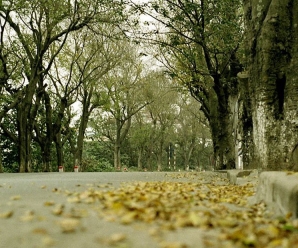 Symbolic Destinations Of Ho Chi Minh City You Should Not Ignore