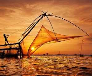 Explore Vietnamese Culture