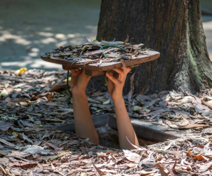 Cu Chi Tunnels Tour – Explore the Underground Tunnels and War History