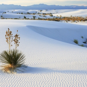 Mui Ne Beach - Binh Thuan