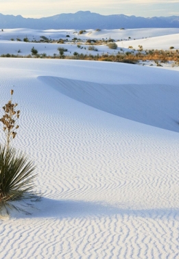 Mui Ne Beach - Binh Thuan
