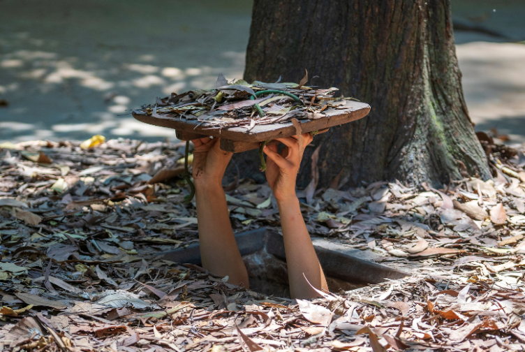 Cu Chi Tunnels Tour – Explore the Underground Tunnels and War History